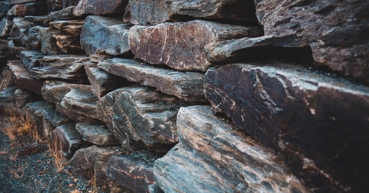 découvrez l'art de la construction en pierre sèche, une technique traditionnelle qui allie esthétisme et durabilité. apprenez comment cette méthode artisanale utilise des pierres naturelles pour créer des structures robustes sans ciment, tout en respectant l'environnement et en favorisant la biodiversité.