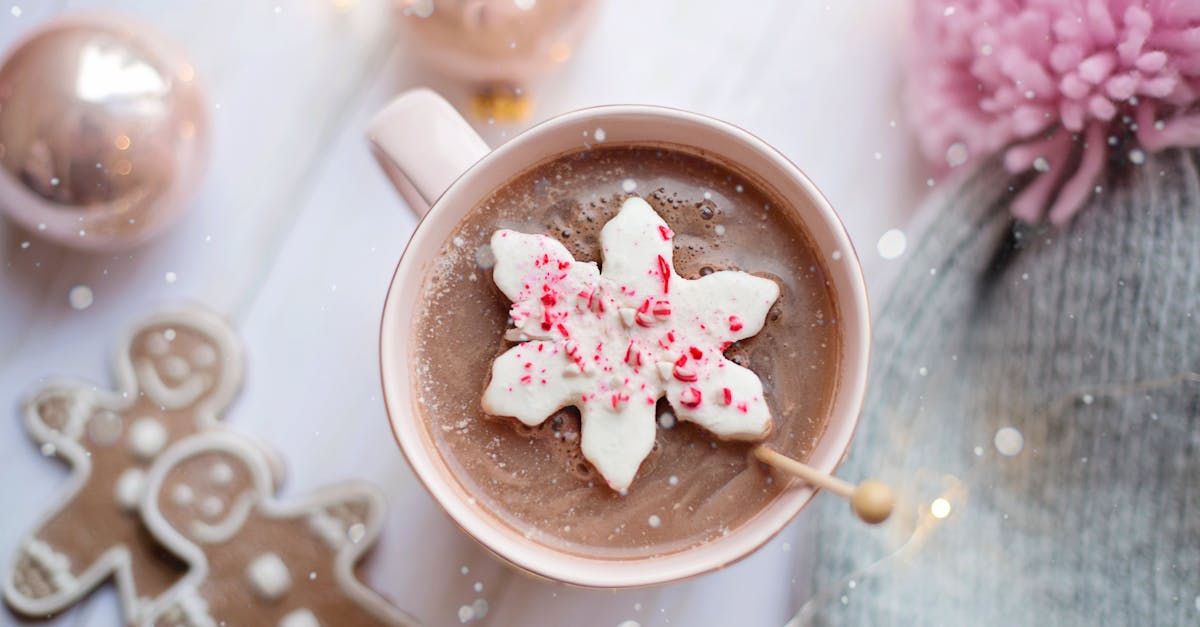 découvrez la magie du pain d'épice avec nos recettes faciles et délicieuses. apprenez à préparer ce classique de noël, aux saveurs épicées, pour émerveiller vos proches et ajouter une touche festive à vos gourmandises. idéal pour les activités en famille et les moments de partage.