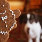 découvrez le monde délicieux des pains d'épice ! recettes traditionnelles, astuces de décoration et inspirations créatives pour préparer ces biscuits réconfortants aux épices chaudes. parfait pour les fêtes ou pour une douceur quotidienne.