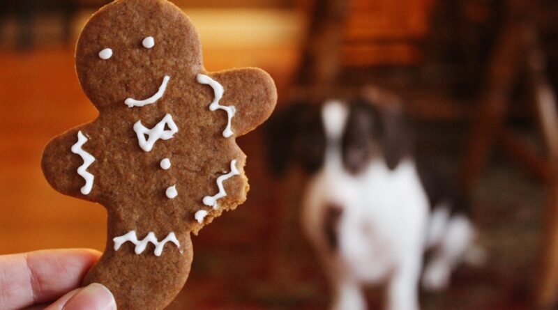 découvrez le monde délicieux des pains d'épice ! recettes traditionnelles, astuces de décoration et inspirations créatives pour préparer ces biscuits réconfortants aux épices chaudes. parfait pour les fêtes ou pour une douceur quotidienne.