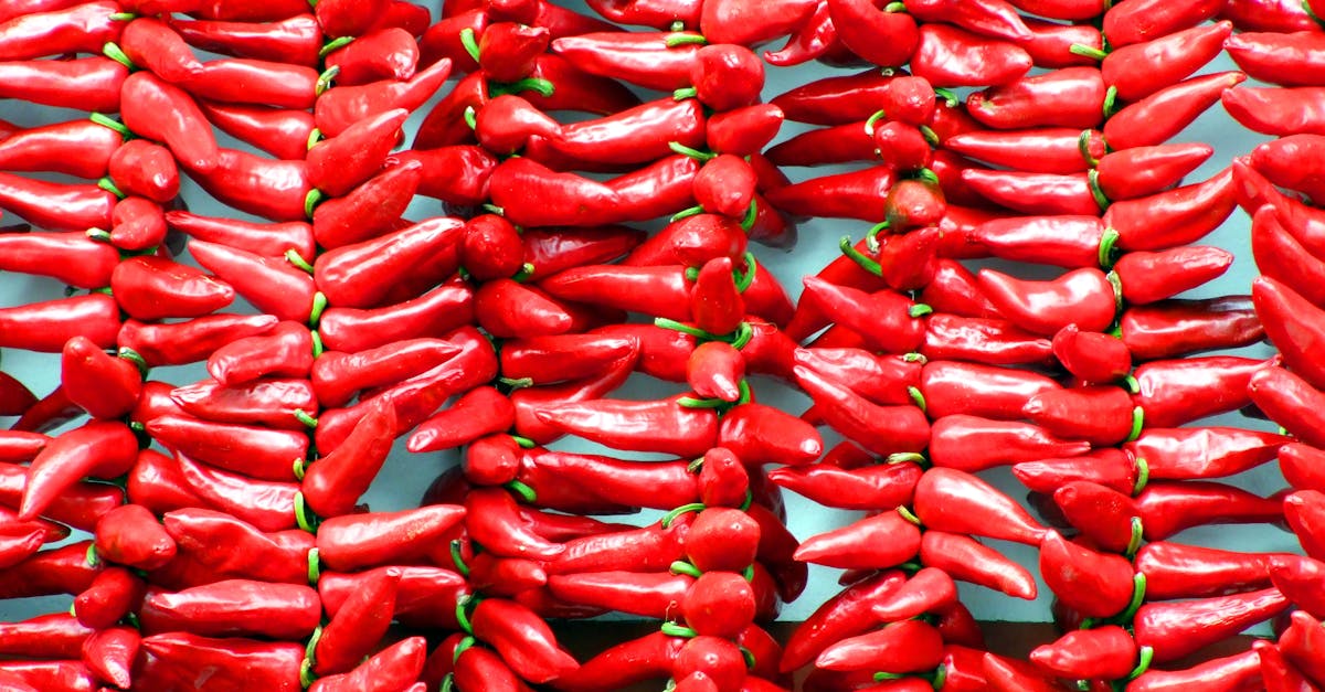 découvrez les bienfaits de la diète méditerranéenne, un régime riche en saveurs et en nutrition, mettant l'accent sur les fruits, légumes, poissons et huiles saines. améliorez votre santé tout en savourant des plats délicieux inspirés des cultures méditerranéennes.