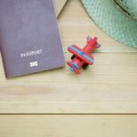 découvrez tout ce qu'il faut savoir sur le passeport : son importance, les démarches pour l'obtenir, les documents nécessaires et les conseils pour voyager sereinement à l'étranger.