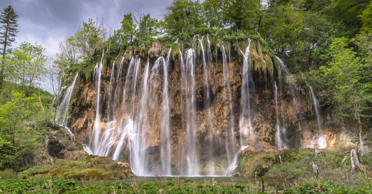 découvrez les lacs de plitvice, un véritable chef-d'œuvre de la nature en croatie. explorez ses cascades majestueuses, ses eaux turquoise cristallines et ses sentiers pittoresques pour une expérience inoubliable au cœur d'un parc national classé au patrimoine mondial de l'unesco.