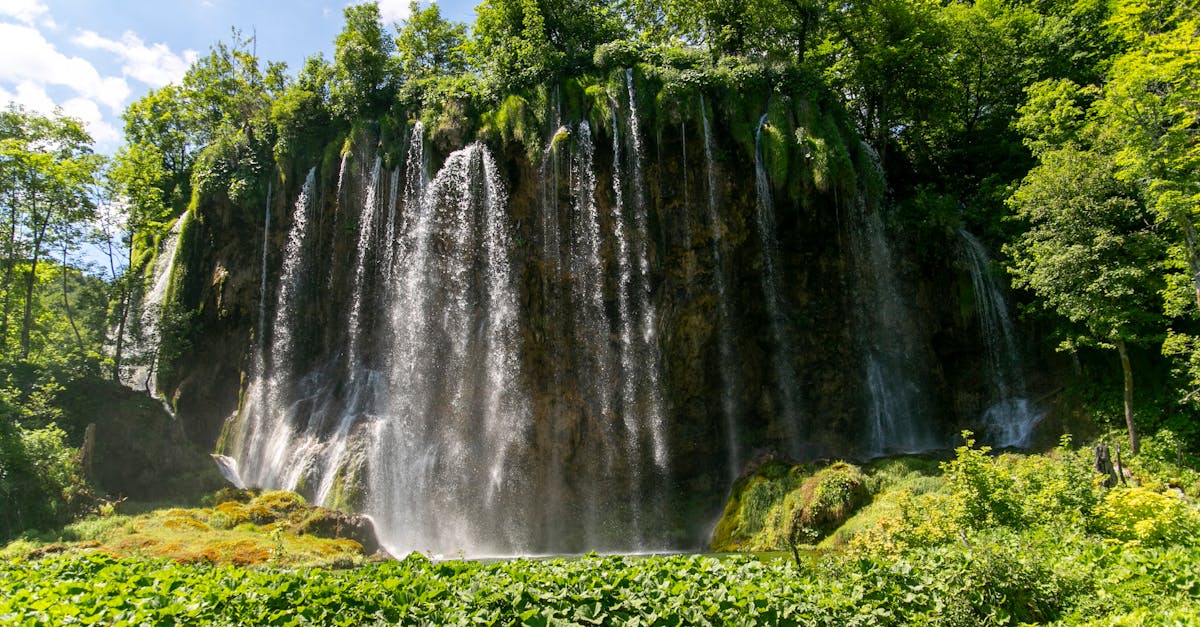 découvrez les magnifiques lacs de plitvice, un parc national croate classé au patrimoine mondial de l'unesco, connu pour ses cascades éblouissantes, ses eaux turquoise cristallines et sa faune diversifiée. une expérience incontournable pour les amoureux de la nature et les aventuriers!