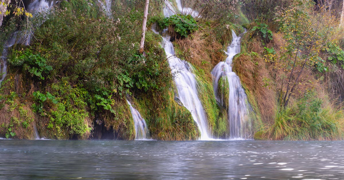 découvrez les lacs de plitvice, un magnifique parc national en croatie classé au patrimoine mondial de l'unesco, célèbre pour ses cascades éblouissantes, ses lacs turquoise et sa biodiversité exceptionnelle. explorez cette merveille naturelle et vivez une aventure inoubliable au cœur de la nature.