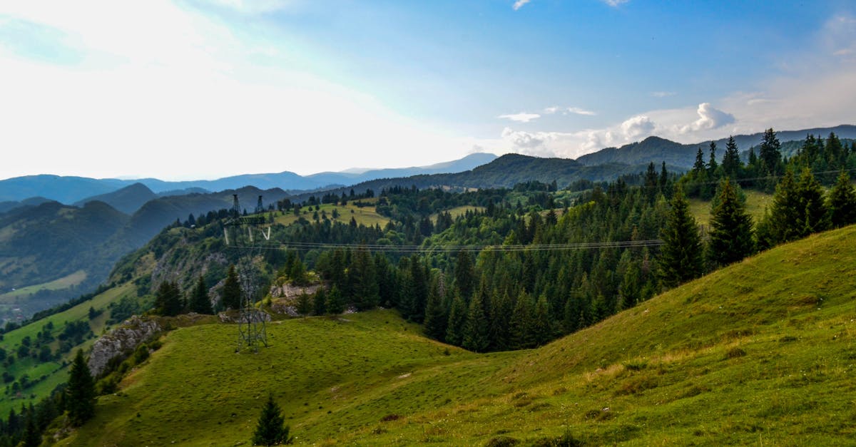 découvrez les charmes du tourisme rural, une expérience authentique au cœur de la nature. explorez des villages pittoresques, savourez des produits locaux et profitez d'activités en plein air. plongez dans la tranquillité et la richesse culturelle des campagnes françaises.