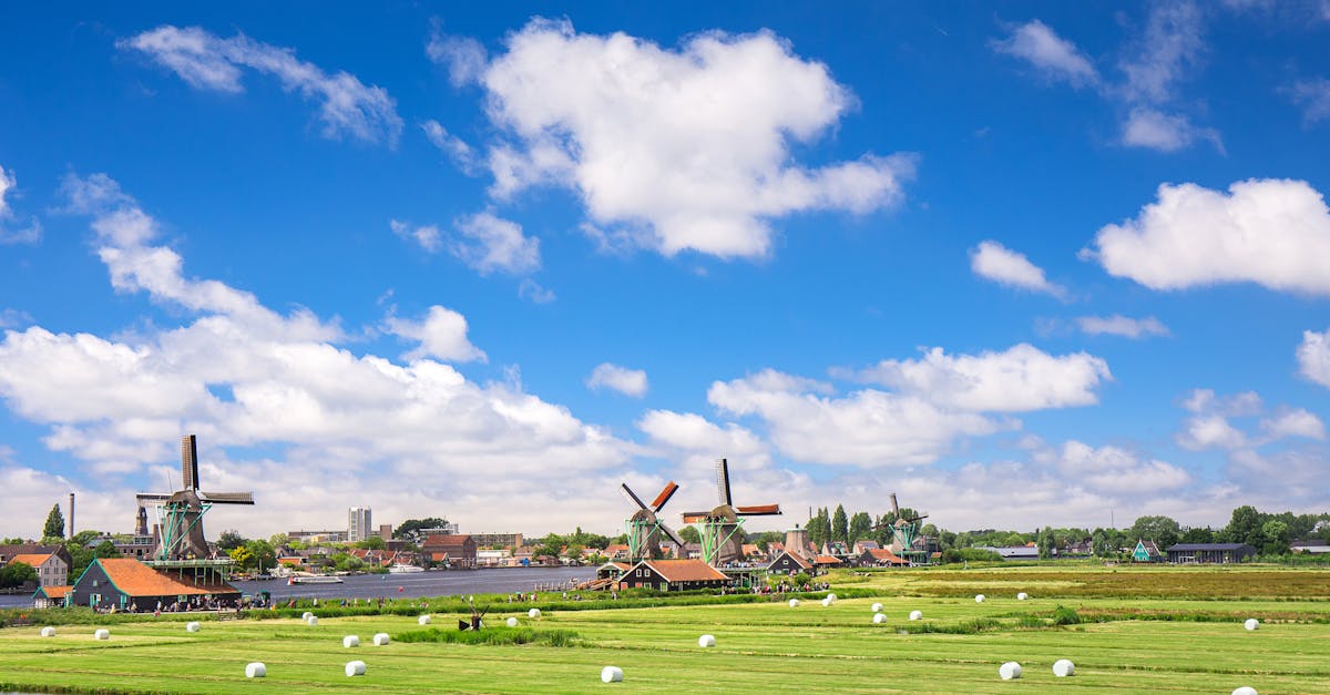 découvrez le tourisme rural : une immersion authentique dans la nature, les traditions et la culture locale, offrant des vacances apaisantes loin de l'effervescence urbaine.
