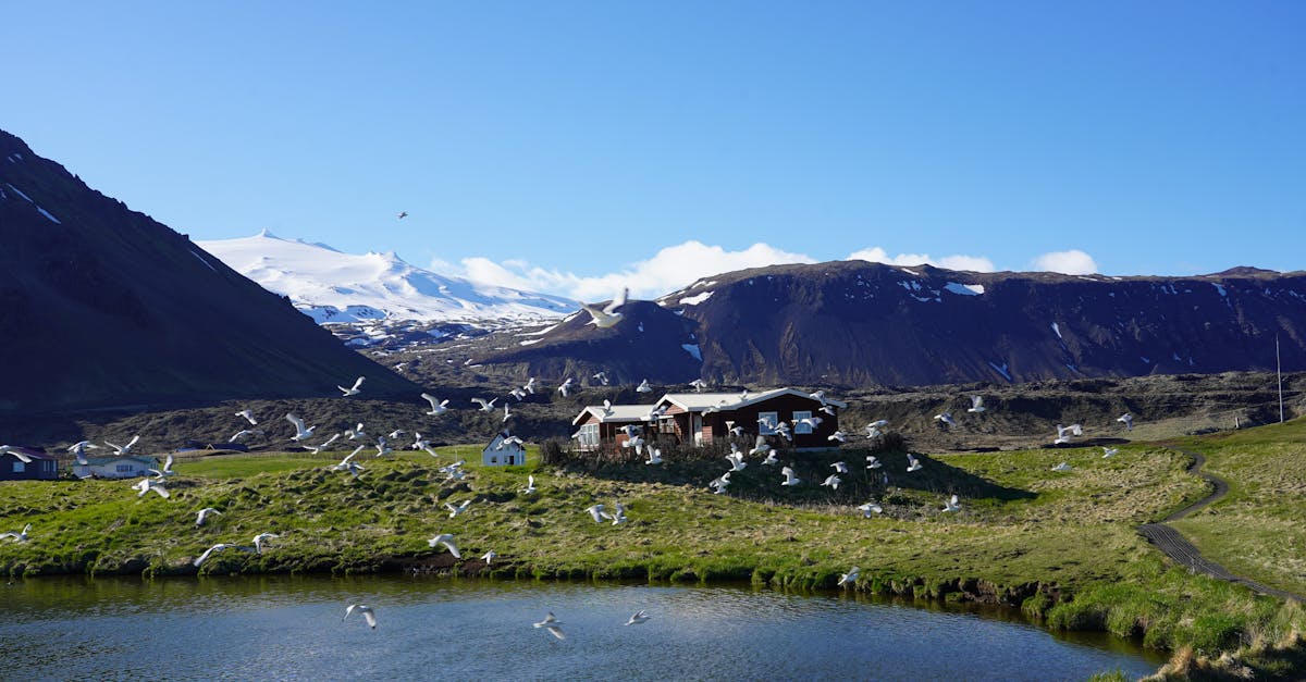 découvrez les charmes du tourisme rural : échappez à l'agitation des villes et plongez dans la nature authentique. explorez des paysages pittoresques, savourez des produits locaux et vivez des expériences enrichissantes à la campagne.