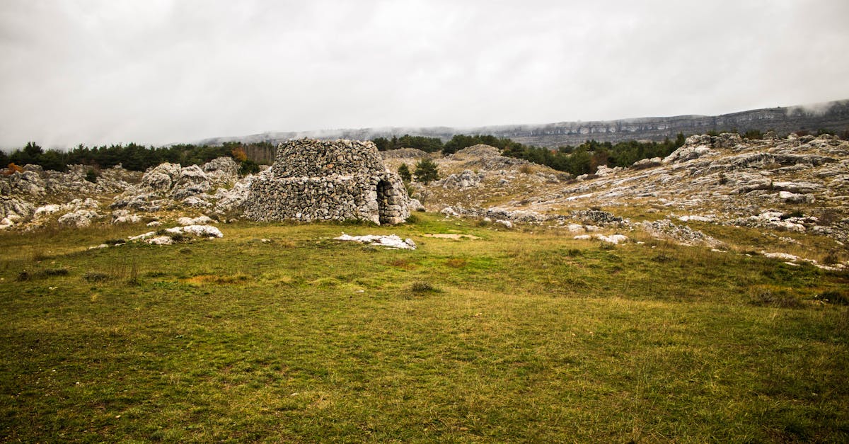 découvrez le tourisme rural, une expérience authentique qui vous plonge au cœur de la nature et des traditions locales. profitez de paysages préservés, de rencontres avec des artisans passionnés et d'activités en plein air pour une échappée belle loin du stress urbain.