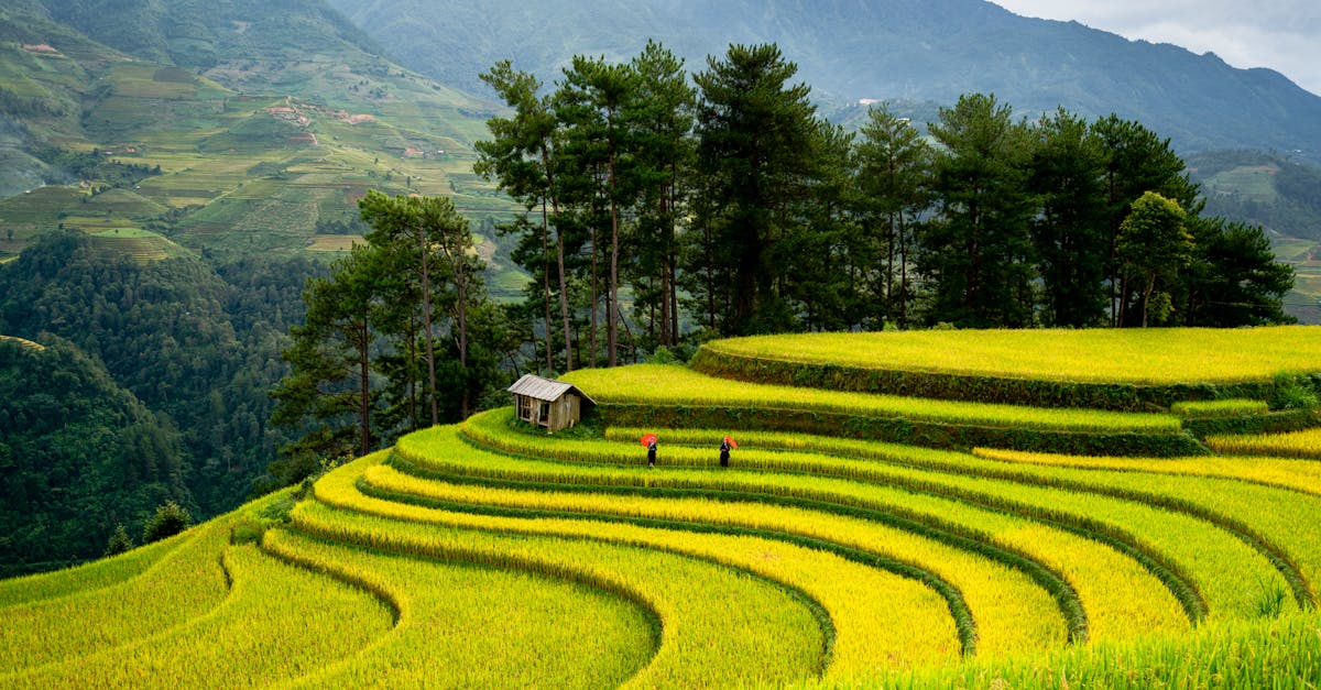 découvrez le tourisme rural : une expérience authentique au cœur de la nature. échappez à l'agitation urbaine et plongez dans un monde de traditions, de paysages pittoresques et de rencontres humaines enrichissantes. venez explorer les charms des campagnes françaises et profitez d'activités de plein air uniques.