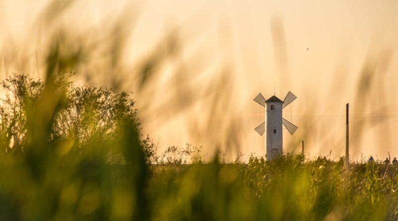 découvrez le tourisme rural : une immersion authentique dans la nature, la culture et les traditions locales. évadez-vous des villes et vivez des expériences uniques à la campagne, entre paysages à couper le souffle et rencontres chaleureuses.