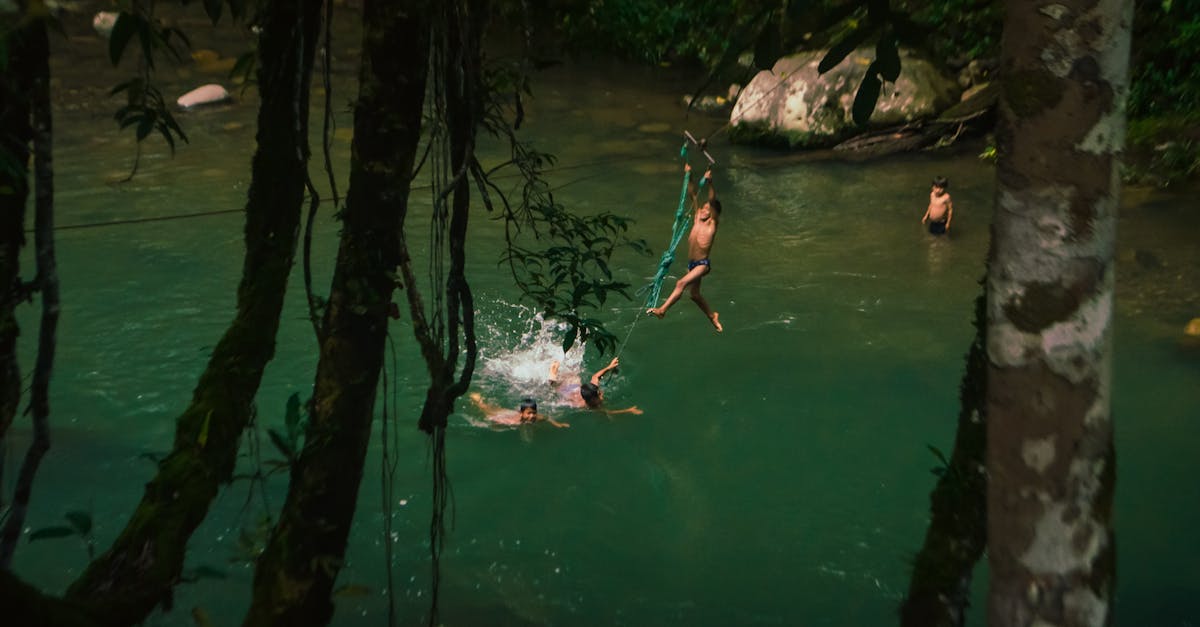découvrez l'excitation de la zipline, une aventure en plein air qui vous permet de survoler des paysages à couper le souffle en toute sécurité. parfait pour les amateurs de sensations fortes et les amoureux de la nature, vivez une expérience unique et mémorable en glissant à grande vitesse entre les arbres.