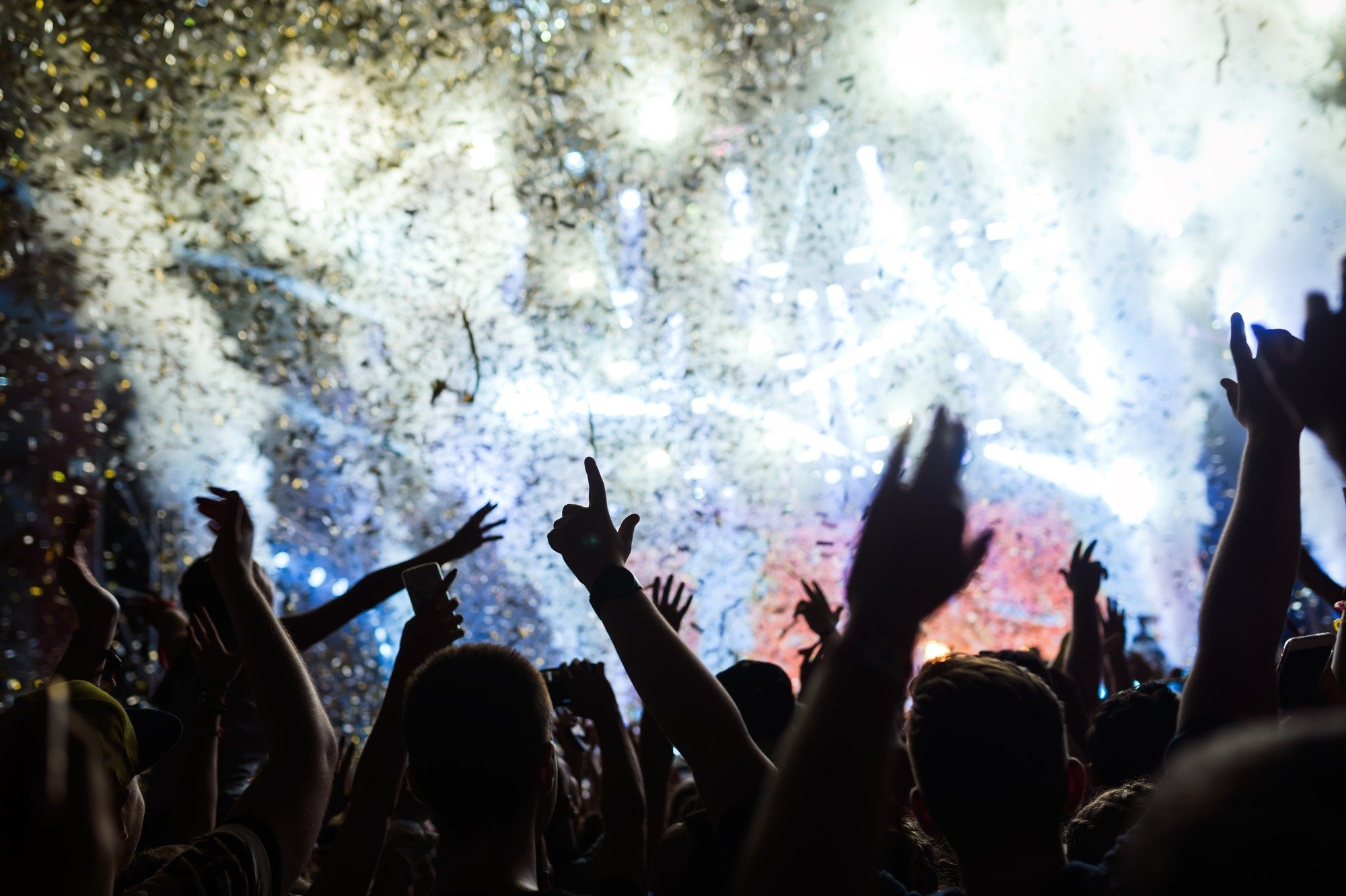 Portrait of happy crowd enjoying at music festival