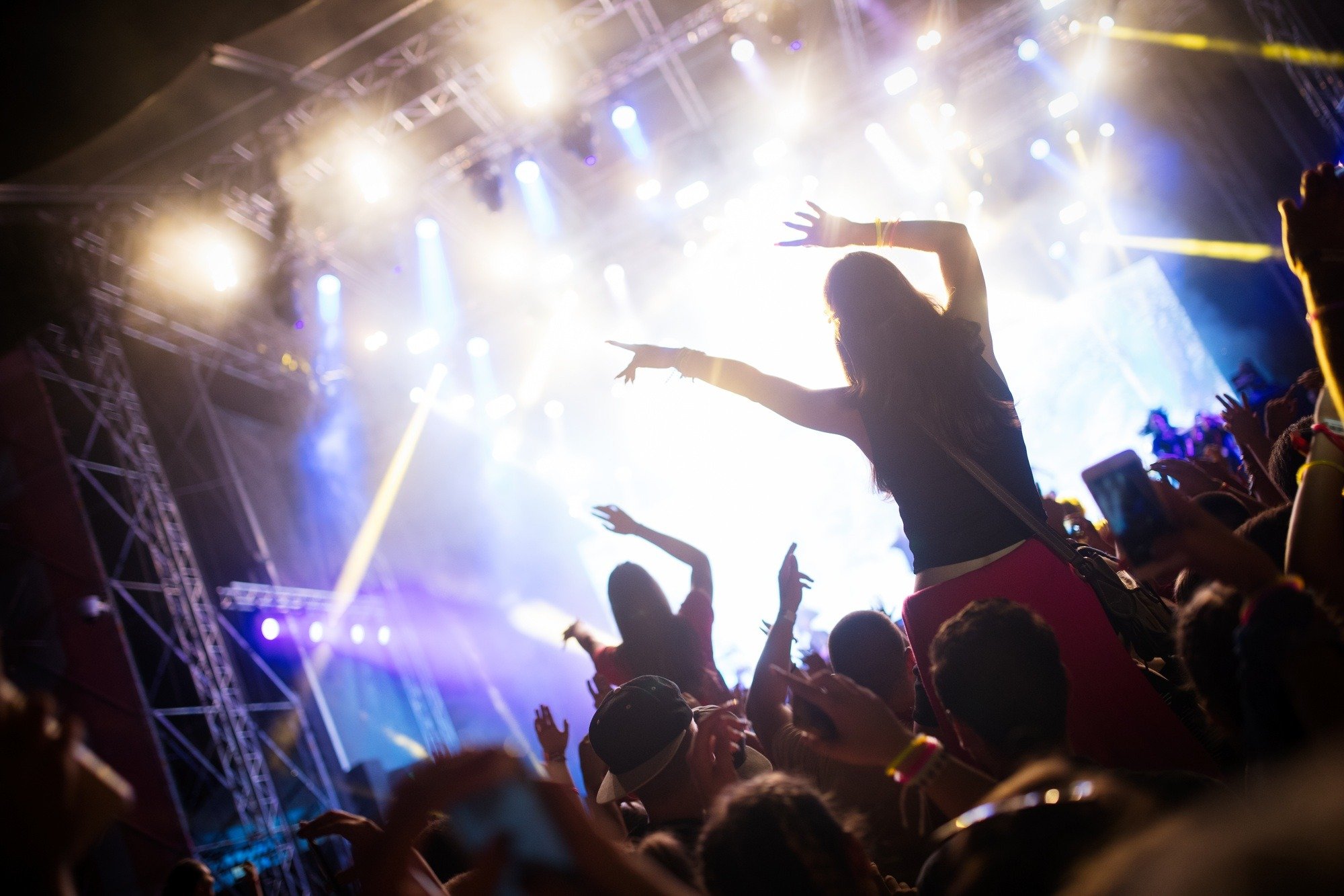 Portrait of happy crowd enjoying at music festival